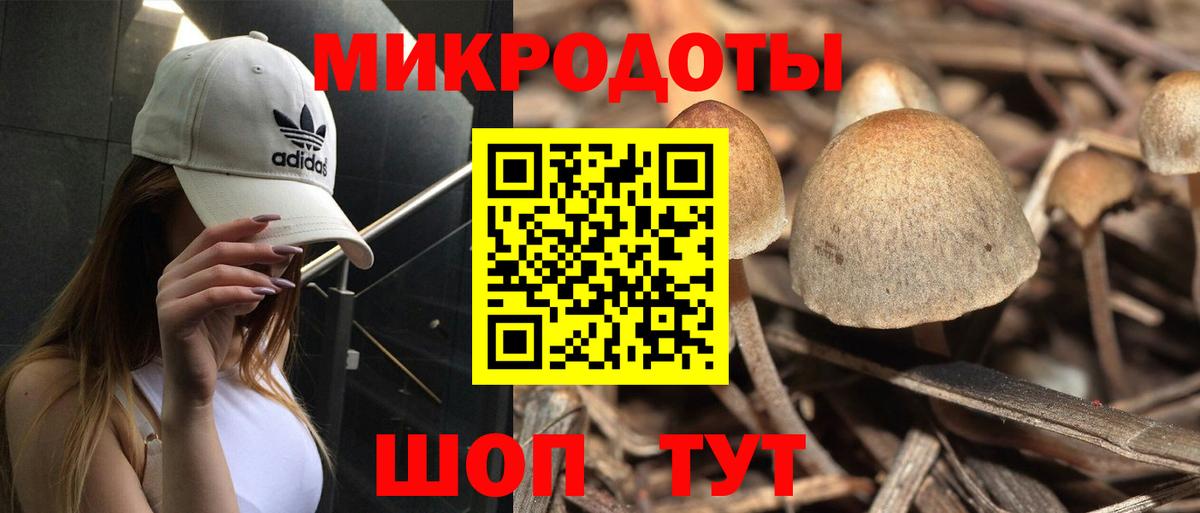 Псилоцибиновые грибы мицелий Домодедово